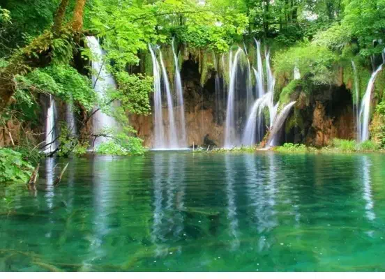 همسفر|فعالیت داوطلبانه تحقیقاتی|نجفآباد, شهدا|دیوار