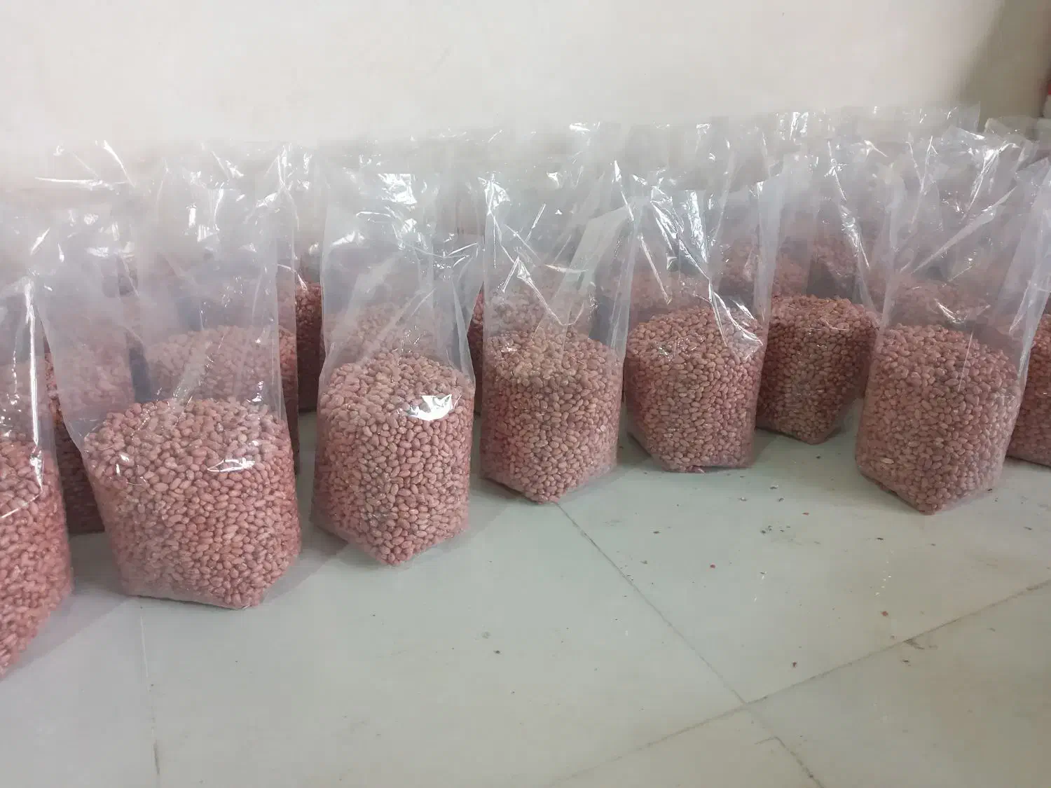 بادام زمینی درجه یک|خوردنی و آشامیدنی|اسلام آباد, |دیوار