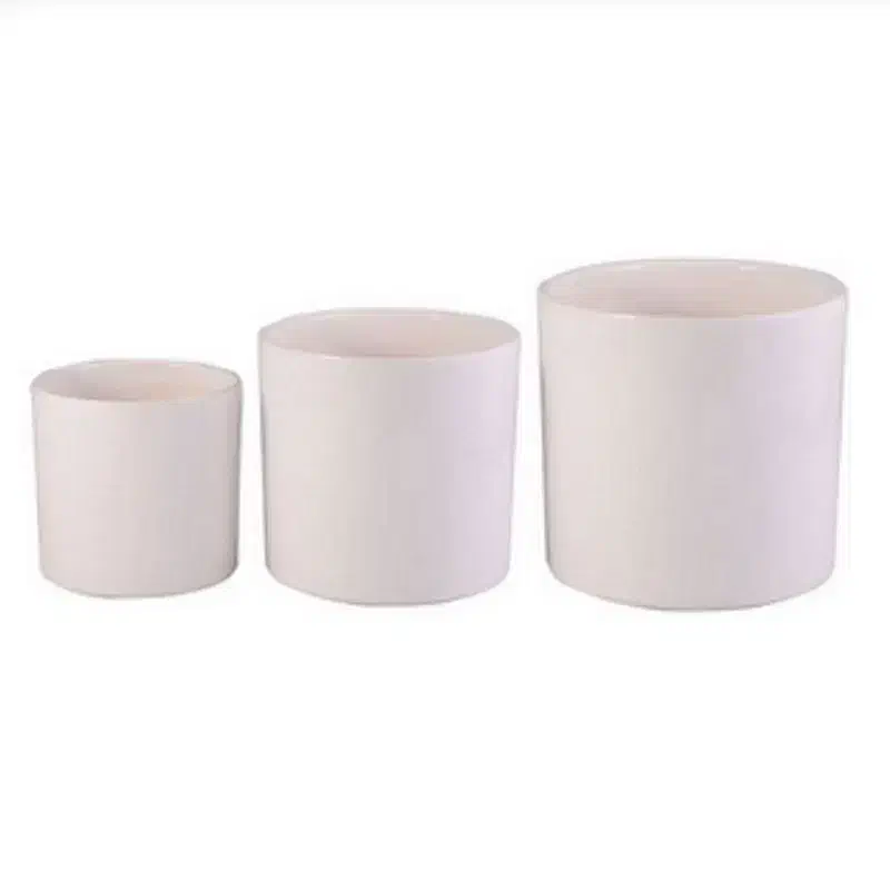 گلدان سرامیکی|گل و گیاه طبیعی|بافق, |دیوار