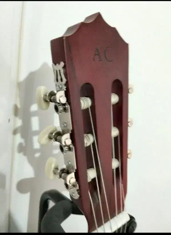 ساز نو|گیتار، بیس، امپلیفایر|ایلام, |دیوار