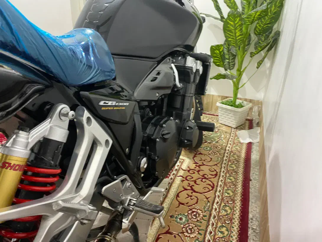 CB1300 2017|موتورسیکلت|شیراز, احمدی جنوبی|دیوار