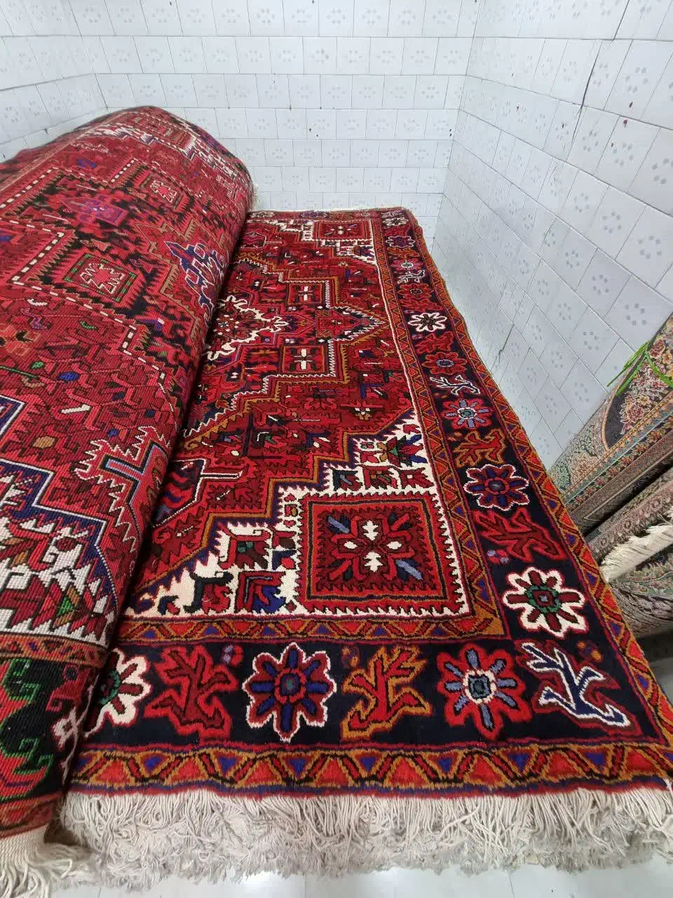 دوجفت مشابه بهم|فرش|مراغه, |دیوار