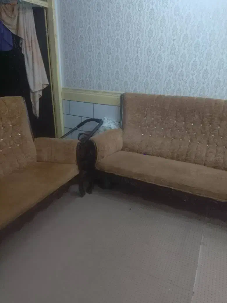 مبلمان|مبلمان خانگی و میز عسلی|اهواز, کمپلو جنوبی|دیوار