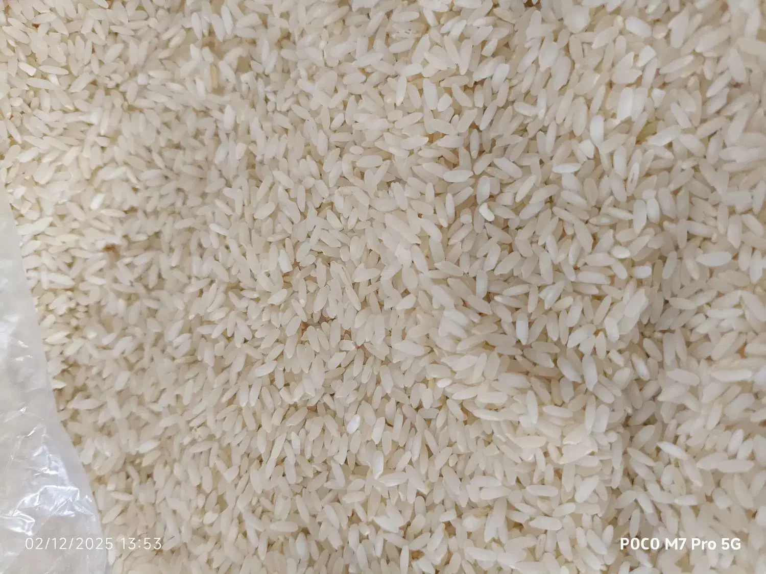 برنج محلی درجه یک|خوردنی و آشامیدنی|صحنه, |دیوار