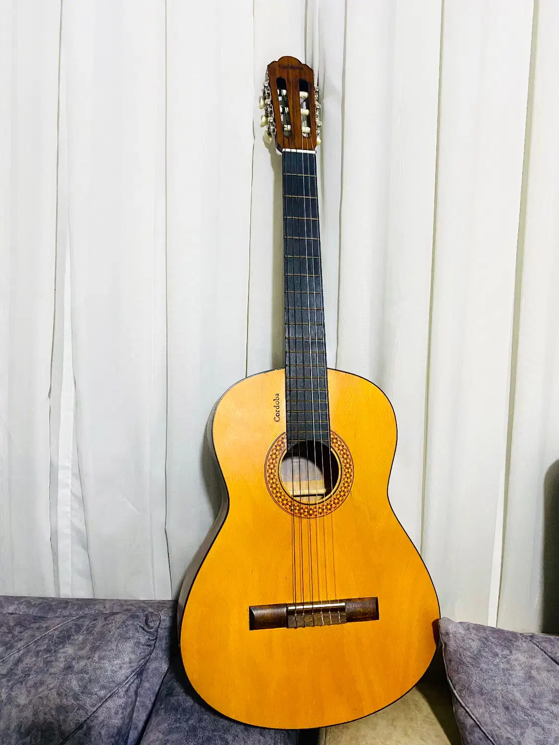 فروش گیتارCordoba|گیتار، بیس، امپلیفایر|بندرعباس, |دیوار