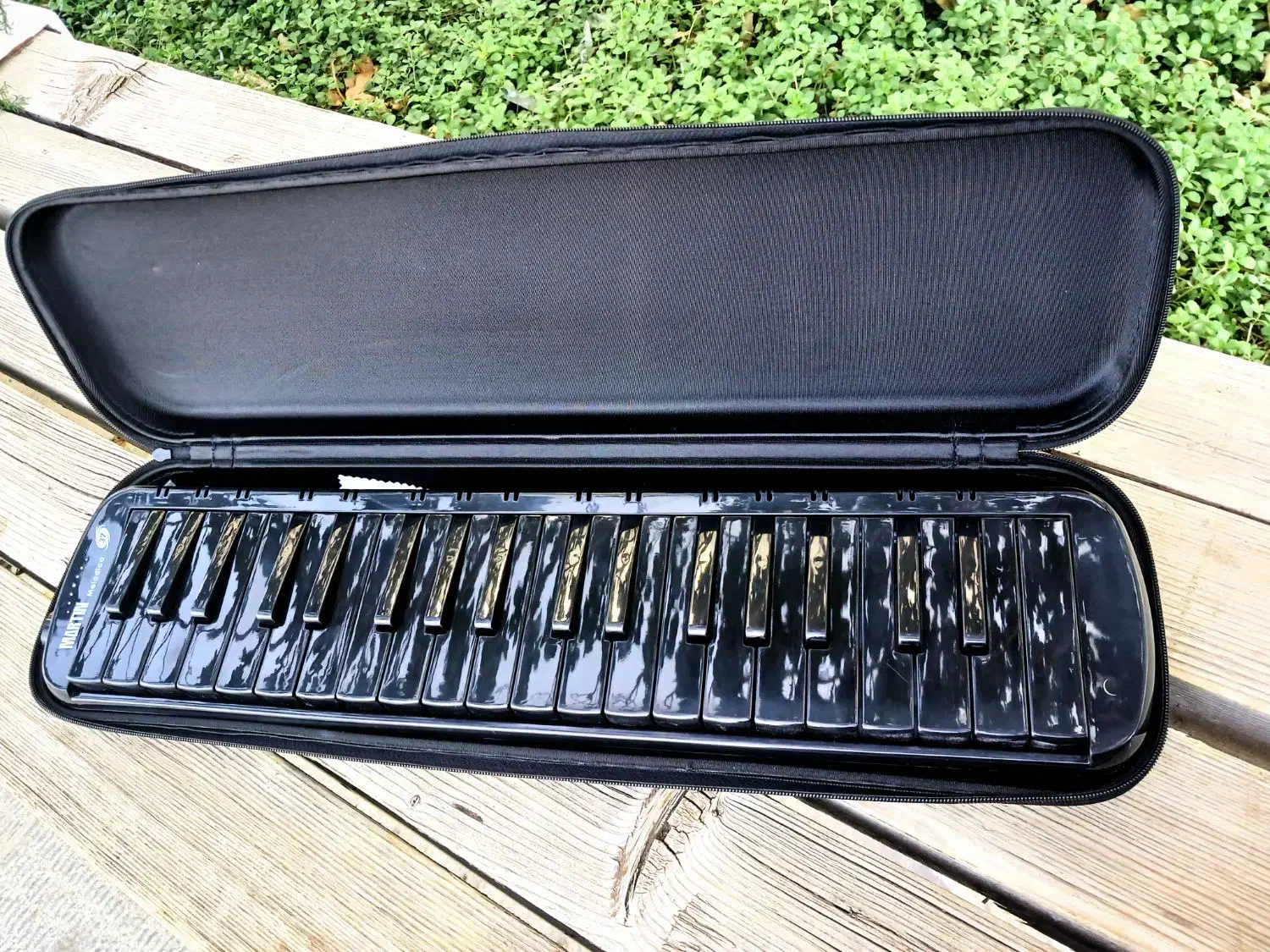 ملودیکا مارتین|پیانو، کیبورد، آکاردئون|قزوین, |دیوار