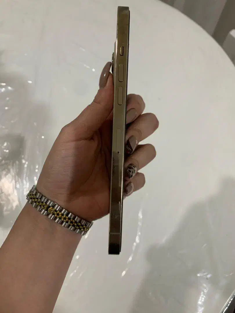 آیفون ۱۲ پرومکس|موبایل|تهران, نازی‌آباد|دیوار