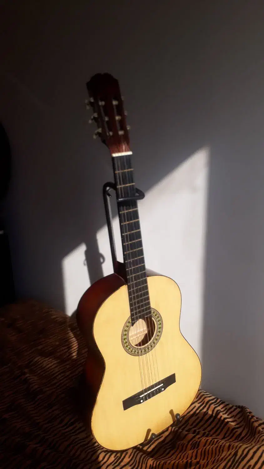 FORCE|گیتار، بیس، امپلیفایر|مشکین‌دشت, |دیوار