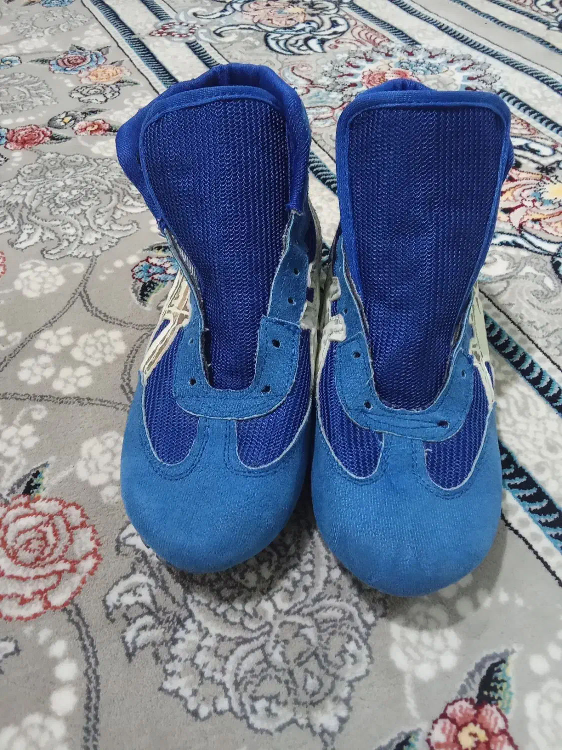 کفش کشتی|کیف، کفش، کمربند|سنقر, |دیوار