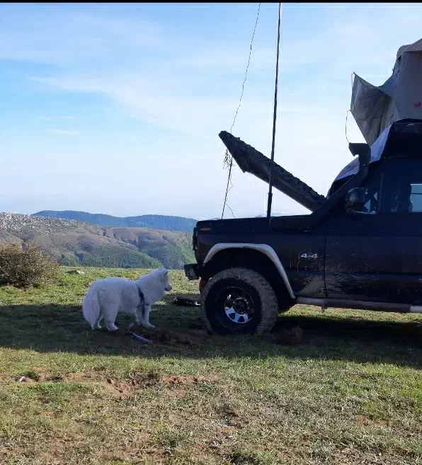 فروش پاترول دو در|خودرو سواری و وانت|کرج, محمود آباد|دیوار