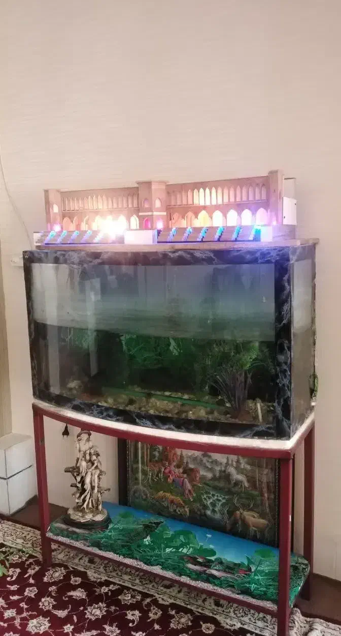 آکواریوم به همراه همه لوازم فقط و فقط۴میلیون|ماهی|نجفآباد, جعفرآباد|دیوار