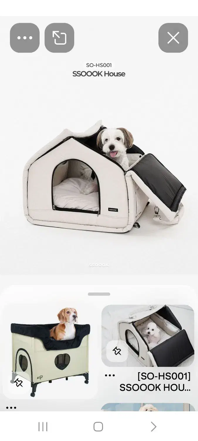 چمدان های پت شاپ|لوازم جانبی حیوانات|مشهد, ابوذر|دیوار