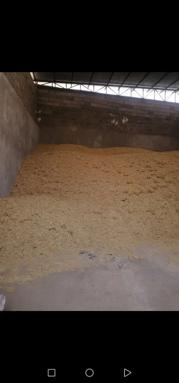 کاه گندم|لوازم جانبی حیوانات|جره و بالاده, |دیوار