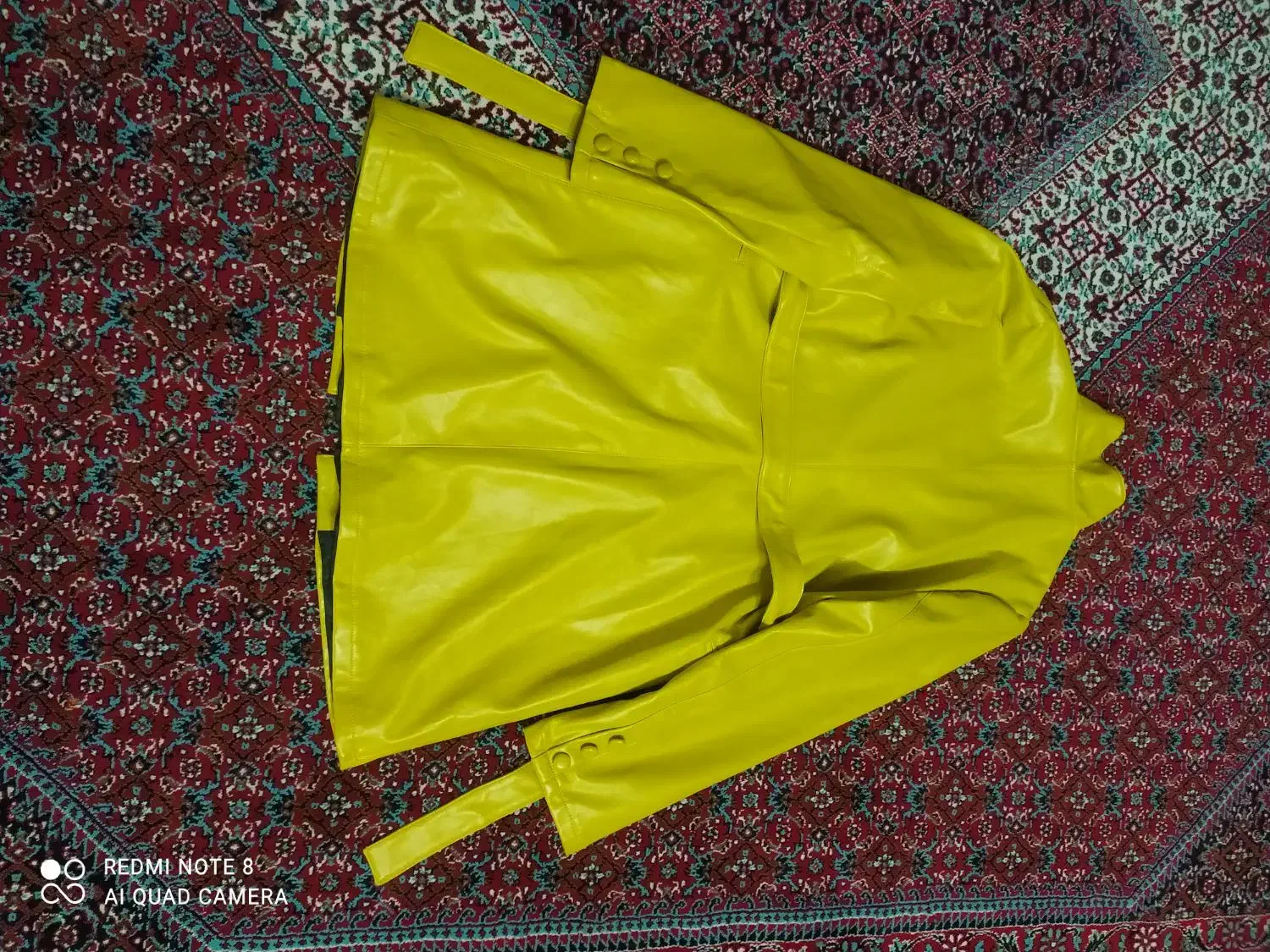 پالتو سالم هست|لباس|بهار, |دیوار