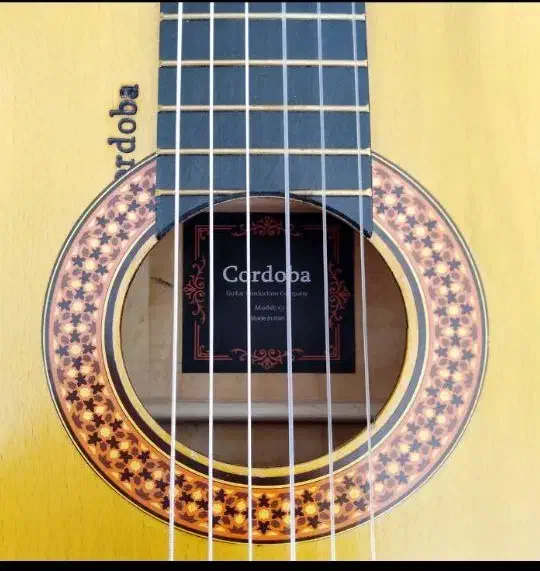 گیتار کلاسیک cordoba|گیتار، بیس، امپلیفایر|میناب, |دیوار