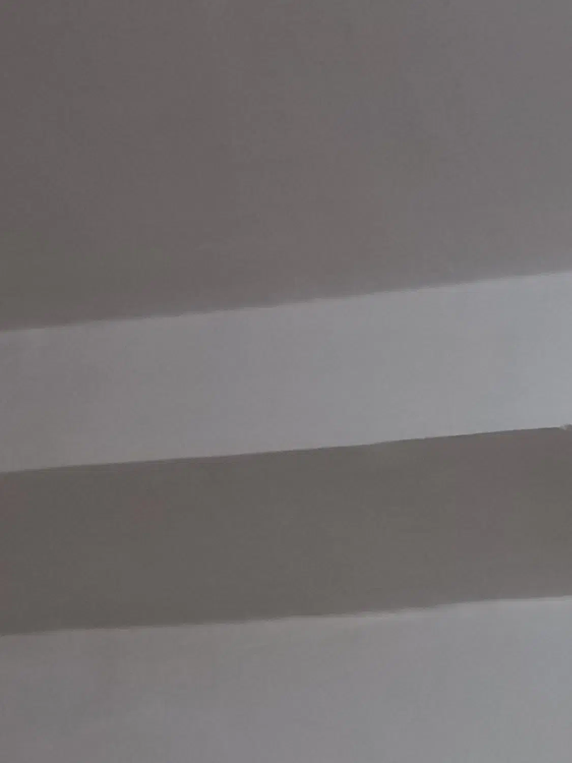 گچکار هستم|خدمات پیشه و مهارت|بوشهر, |دیوار