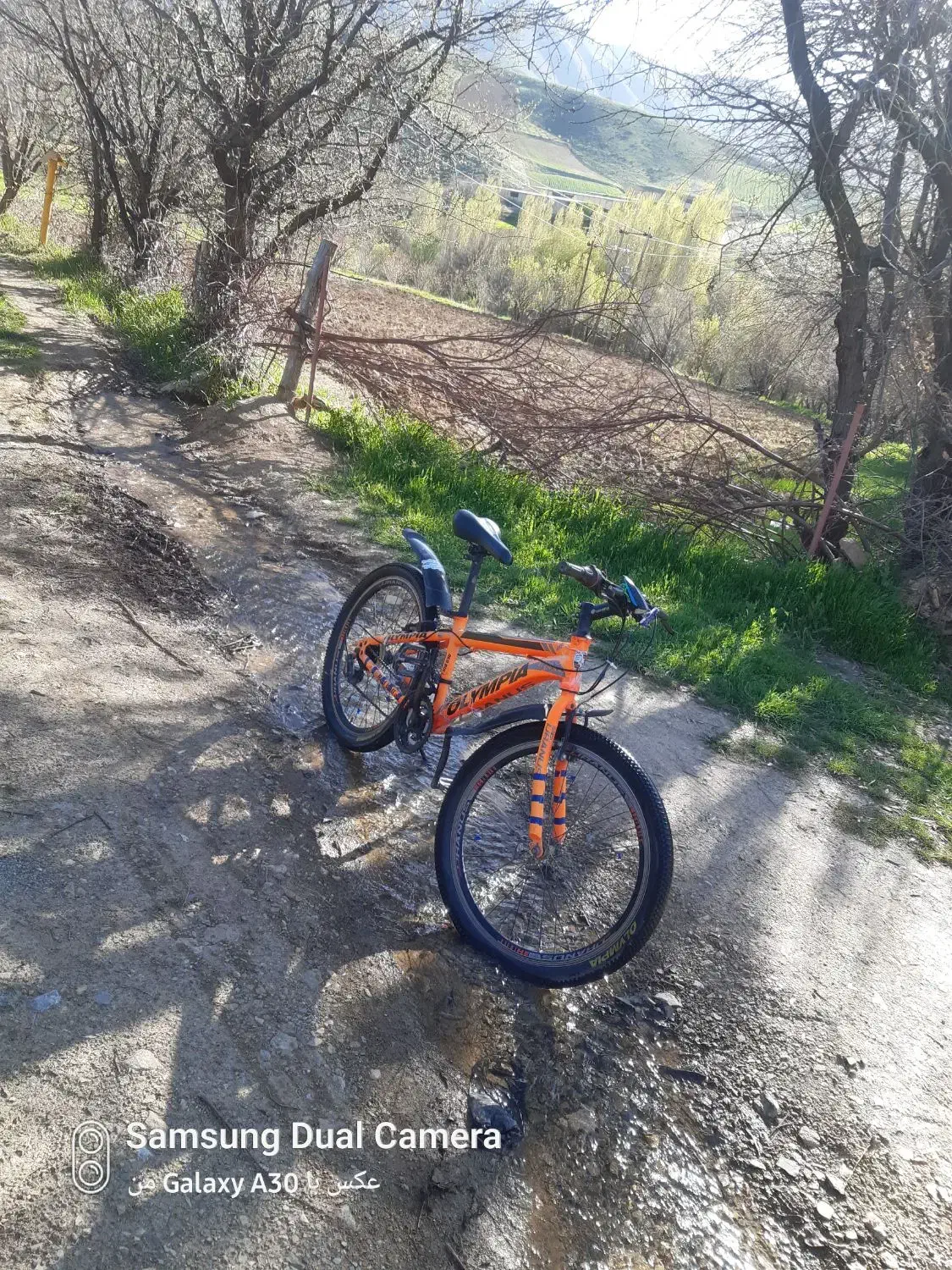 دوچرخه ۲۴|دوچرخه، اسکیت، اسکوتر|سنندج, |دیوار