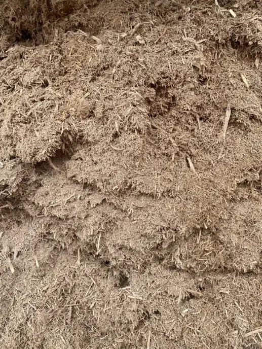 نیشکر|لوازم جانبی حیوانات|باروق, |دیوار