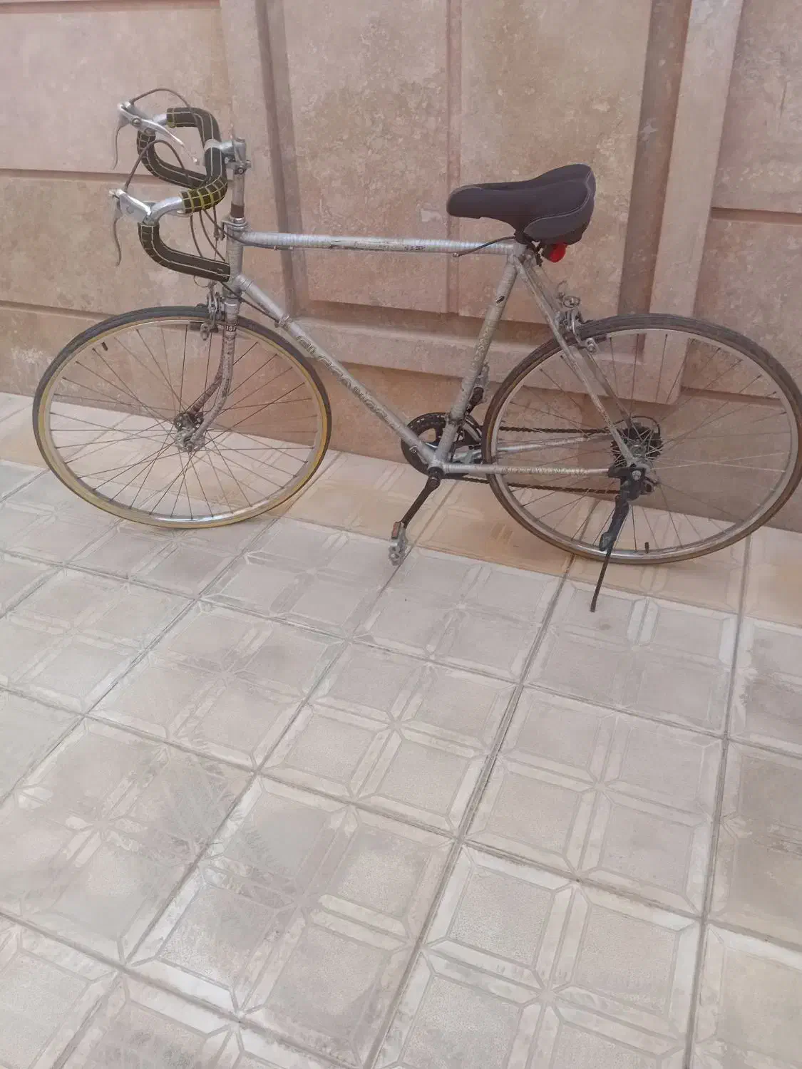 دوچرخه حرفه ای کورسی الگانس|دوچرخه، اسکیت، اسکوتر|گلبهار, شهر جدید گلبهار|دیوار