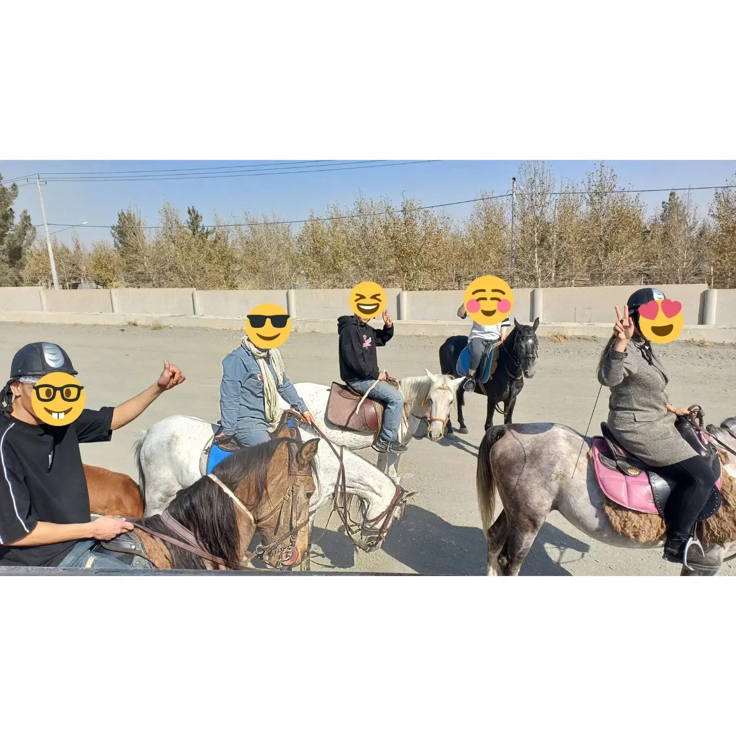 آموزش سوارکاری، گشت و طبیعت گردی با اسب|اسب و تجهیزات اسبسواری|مشهد, شهرک صنعتی توس|دیوار