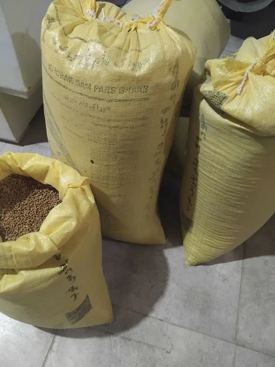 نوک سوره|خوردنی و آشامیدنی|دهگلان, |دیوار