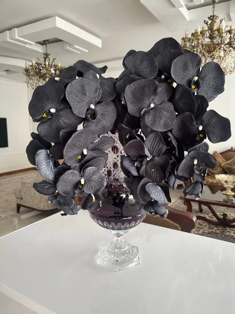 سه عدد گل ارکیده مشکی|گل مصنوعی|قزوین, |دیوار