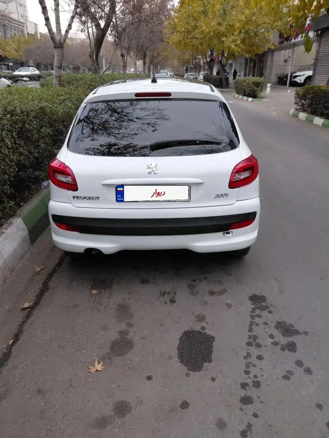 207 پانارمامدل 1403|خودرو سواری و وانت|مشهد, خرمشهر|دیوار