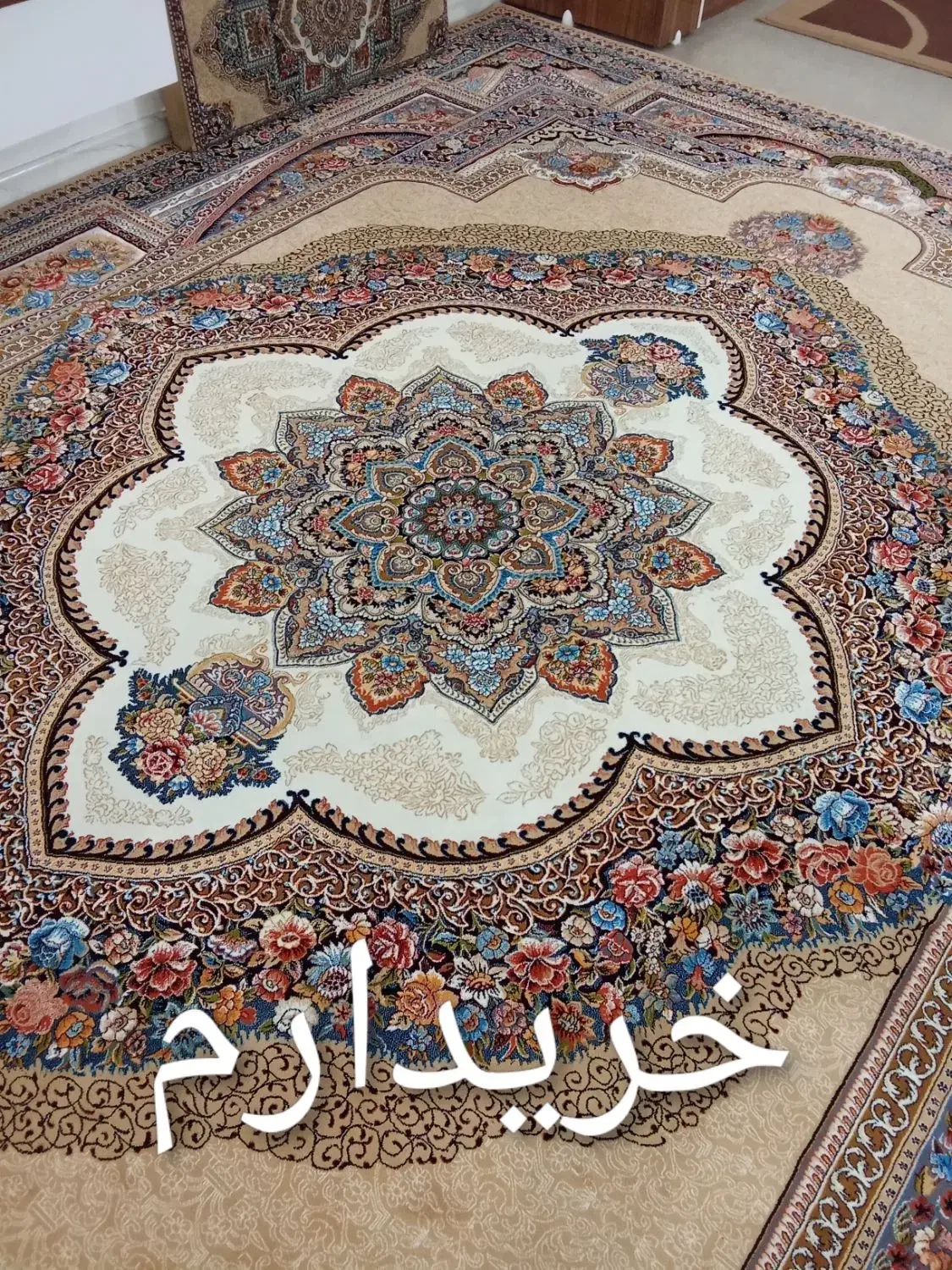 فرش باغ معلق|فرش|بیرجند, |دیوار