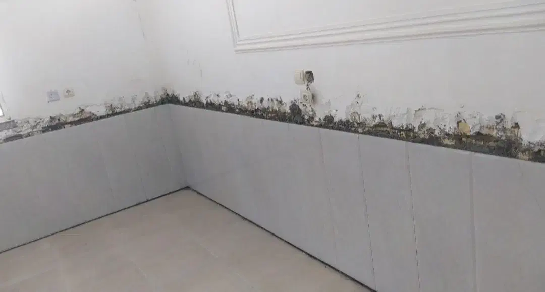 استا سرامیک و کاشی کاری|خدمات پیشه و مهارت|خرمشهر, |دیوار