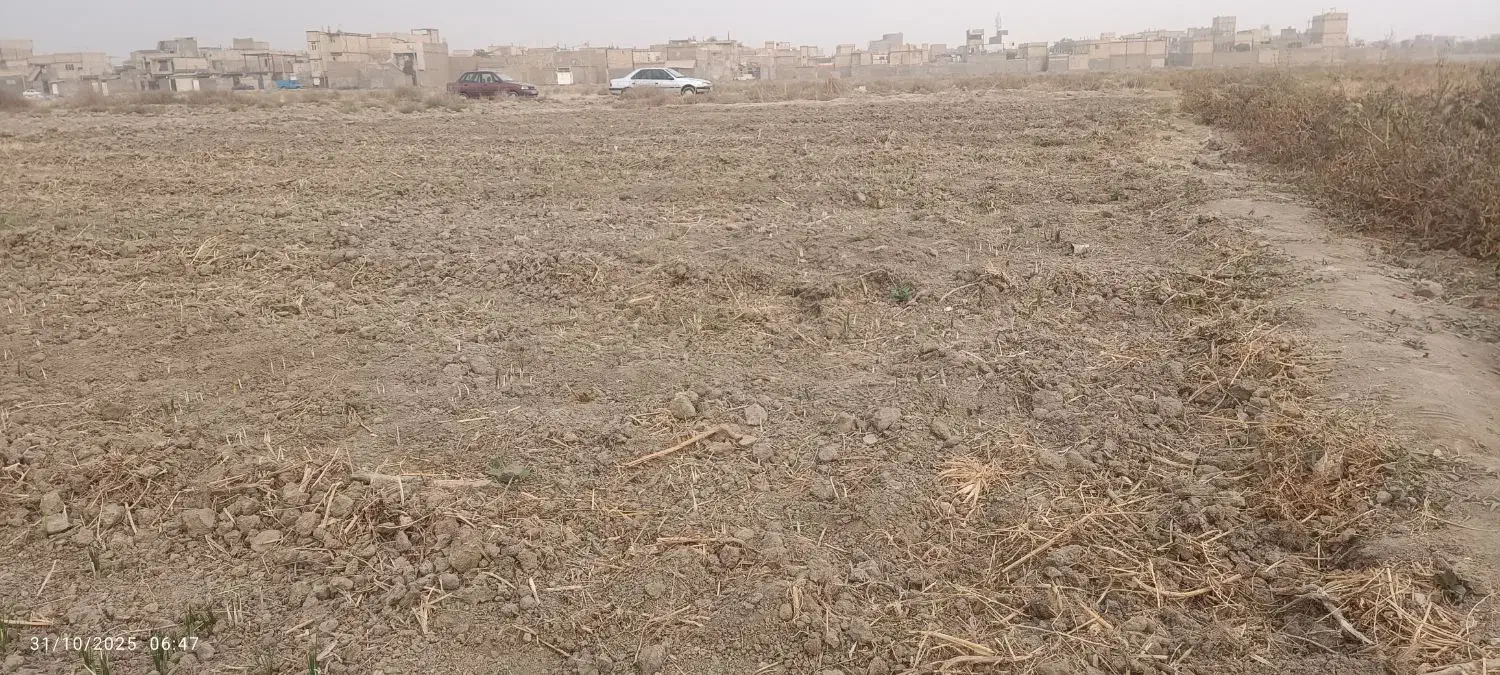 زمین بلوارتوس .زمین زعفران.|فروش زمین و ملک کلنگی|مشهد, شهید بصیر|دیوار