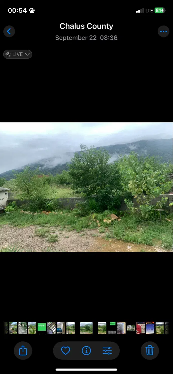 رهن ،اجاره زمین ۷۰۰تا۱۰۰۰ متر هچیرود|اجارهٔ دفتر صنعتی، کشاورزی، تجاری|چالوس, |دیوار