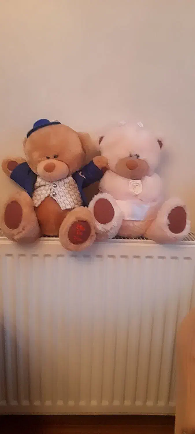 دوتا خرس خارجی پولیشی|اسباببازی بچه|تهران, درب دوم|دیوار