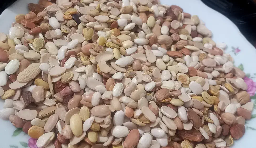 لوبیا و عدس|خوردنی و آشامیدنی|اهواز, حصیرآباد|دیوار