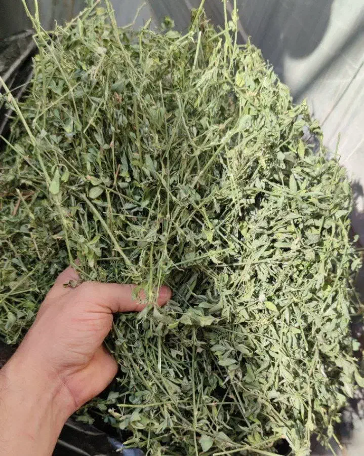 علف خشک|لوازم جانبی حیوانات|میبد, |دیوار