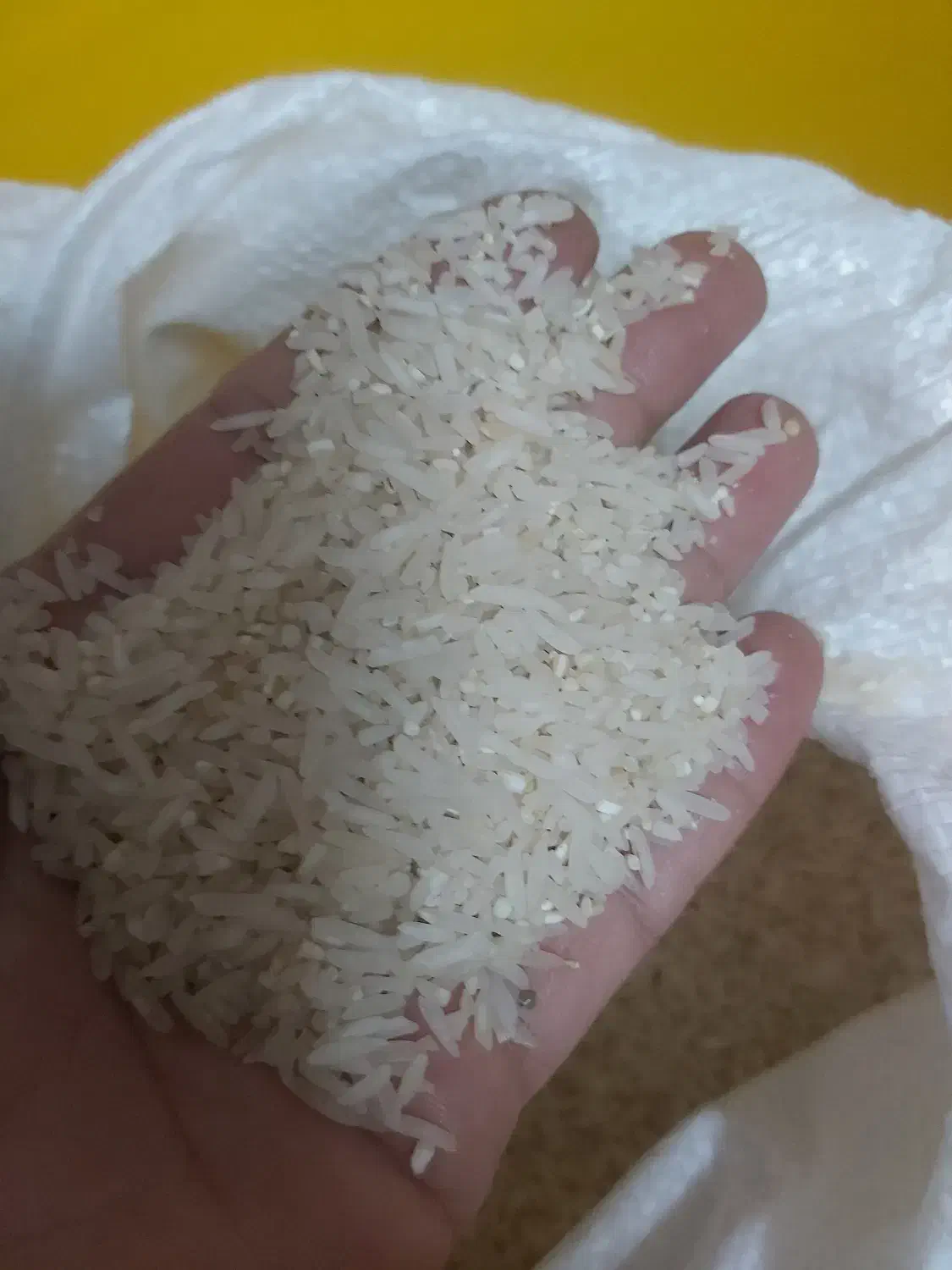 برنج لاشه فجرسوزنی|خوردنی و آشامیدنی|مشکیندشت, |دیوار