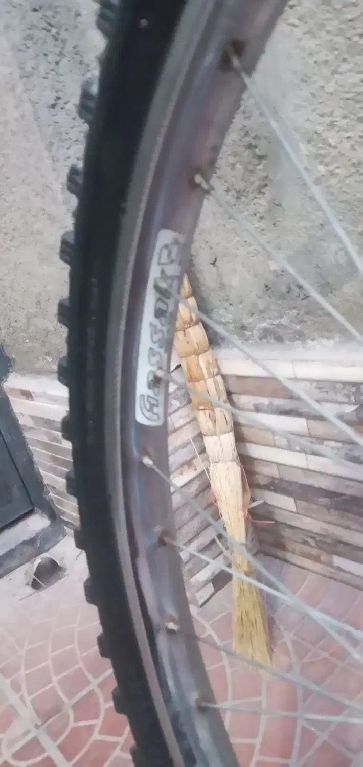 دوچرخه ۲۶ سالم|دوچرخه، اسکیت، اسکوتر|تربت جام, خیرآباد|دیوار