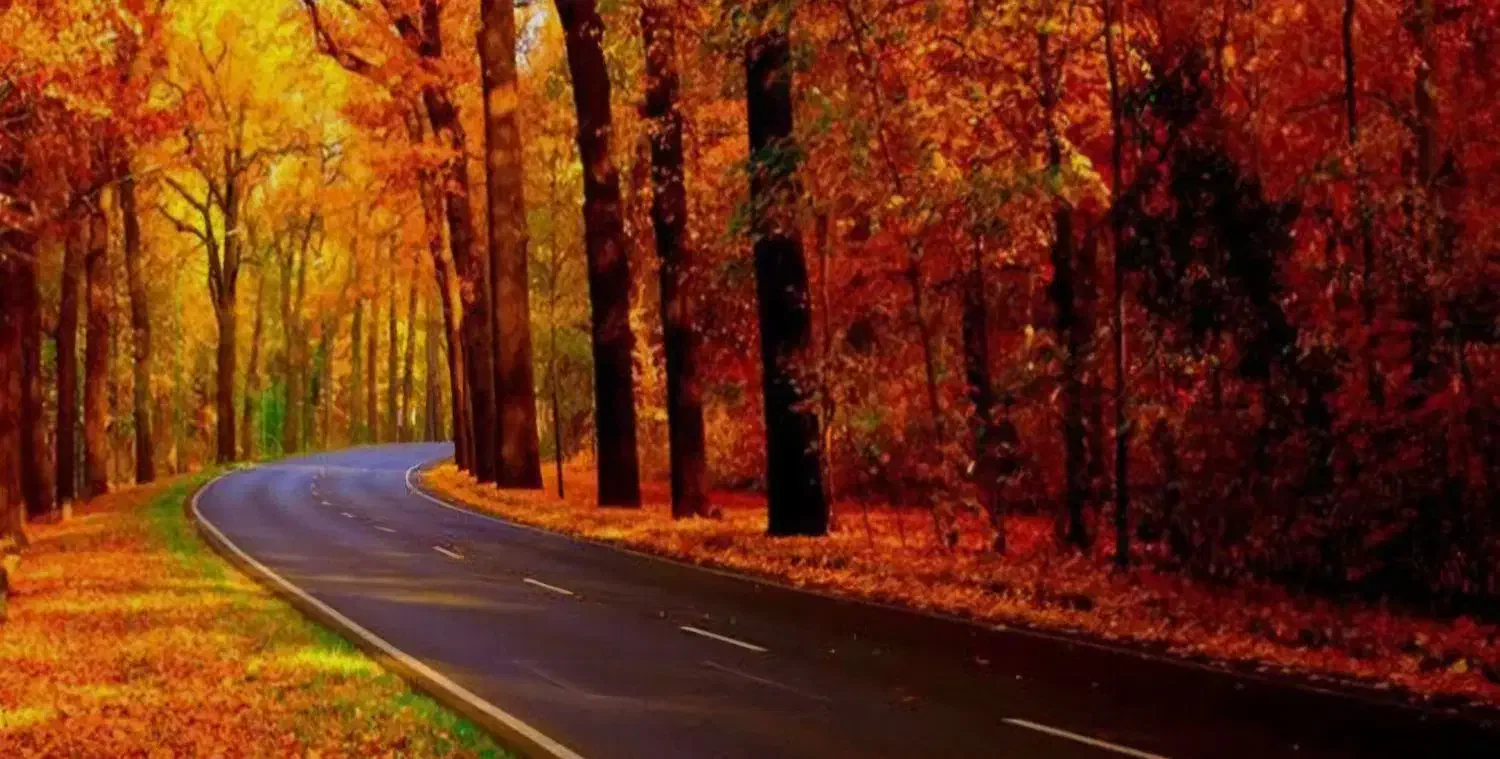 تور گروهی ساحل بابلسر .دریاچه الیمالات .نور|تور و چارتر|نیشابور, امین اسلامی|دیوار