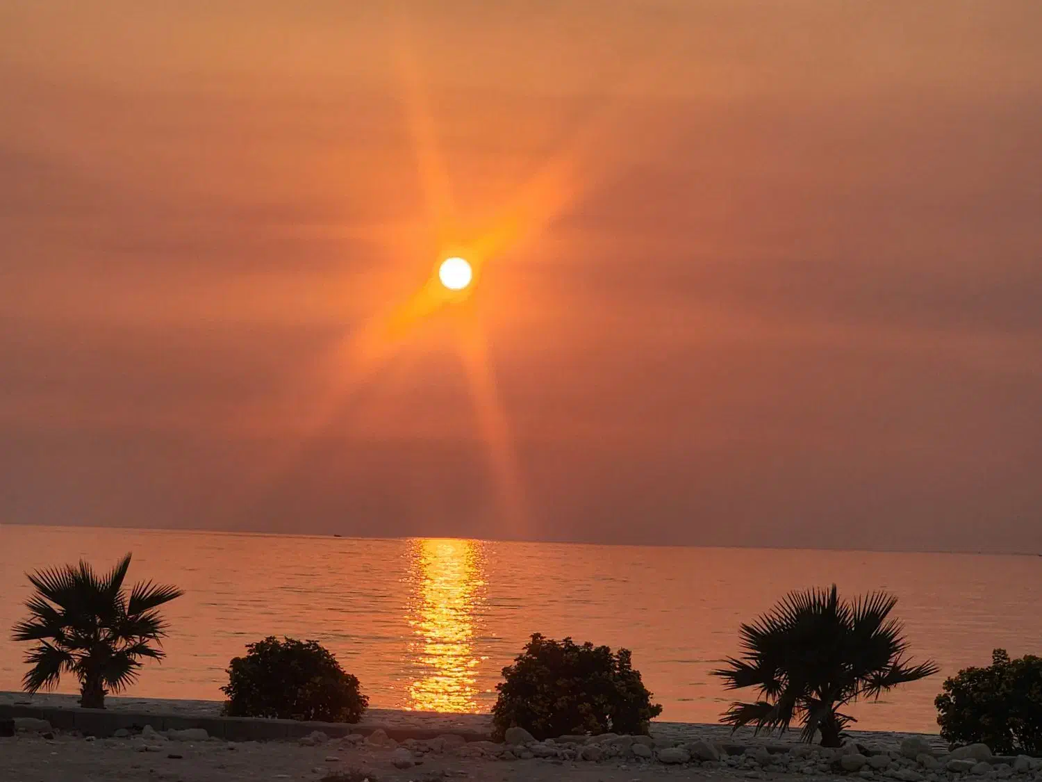 فروش زمین کنگان|فروش زمین و ملک کلنگی|بندر کنگان, |دیوار