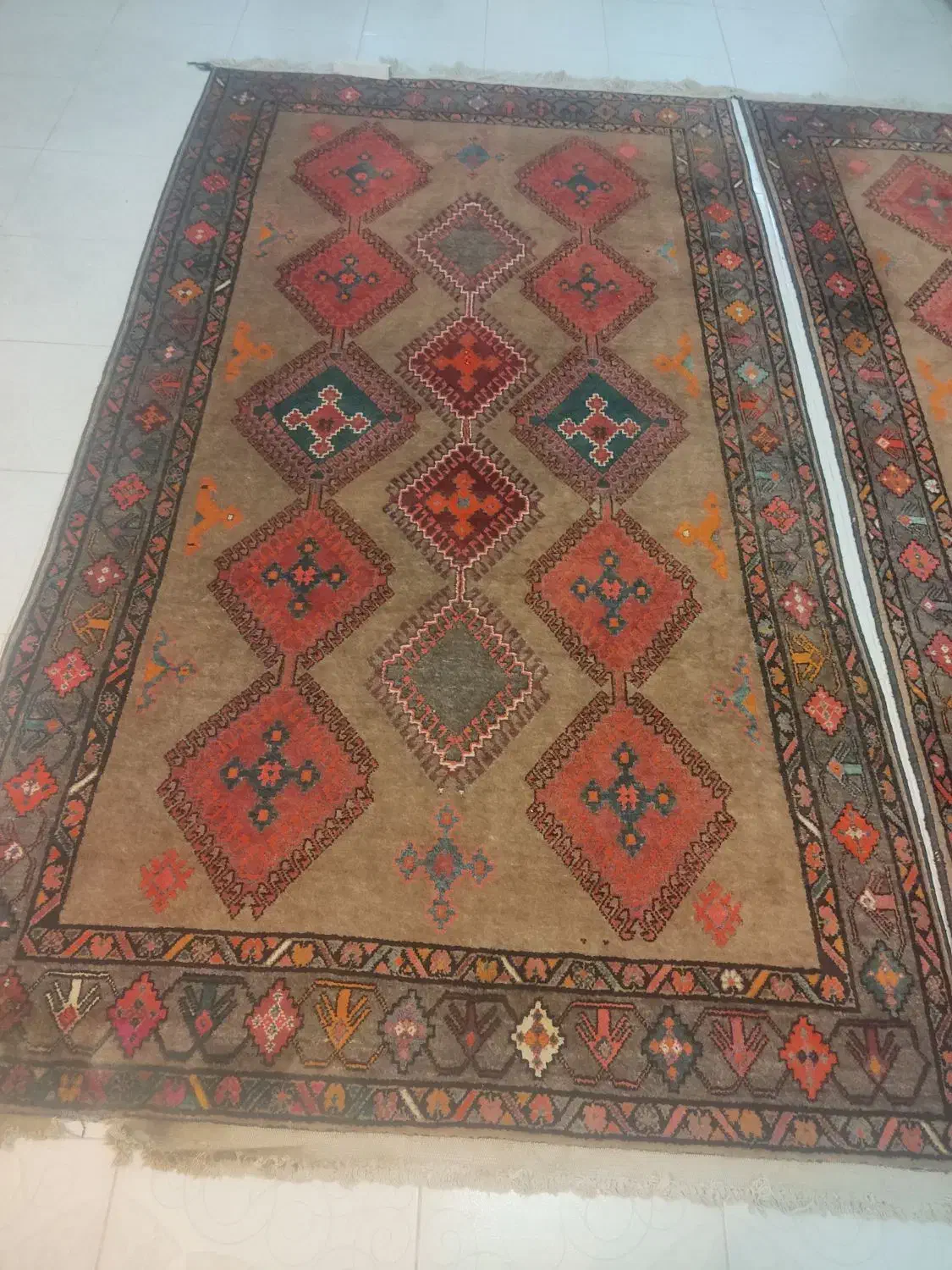 قالی پشم در پشم قدیمی ترکی دست بافت|فرش|شهرضا, |دیوار