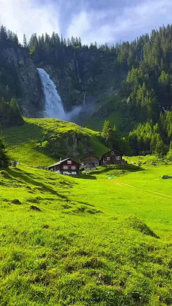 هم راه|فعالیت داوطلبانه|مشهد, سعد آباد|دیوار