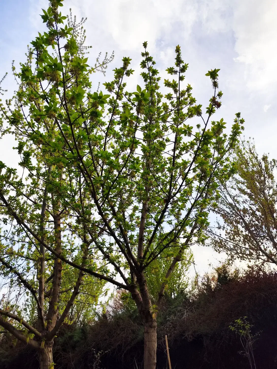 جویای کار|استخدام سرایداری و نظافت|اصفهان, نمایشگاه بین المللی اصفهان|دیوار