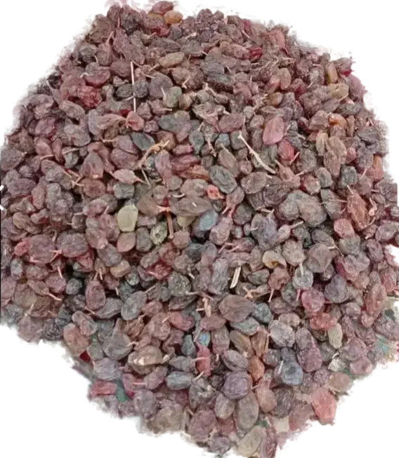 کشمش آفتابی شال|خوردنی و آشامیدنی|شال, |دیوار