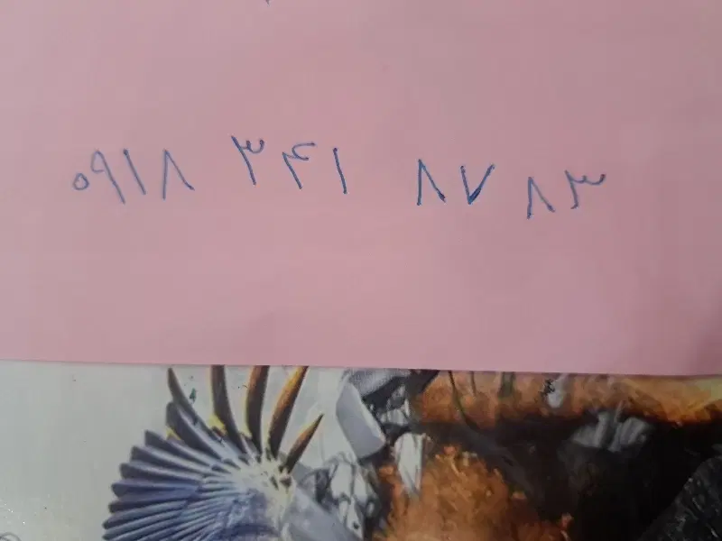 سیم ۳۴۱|سیمکارت|ایلام, |دیوار
