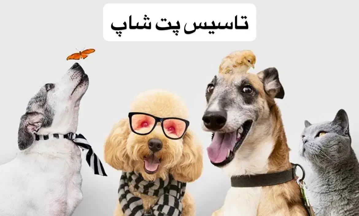 اجاره قسمت پت شاپ در کلینیک|اجارهٔ مغازه و غرفه|کرمان, |دیوار