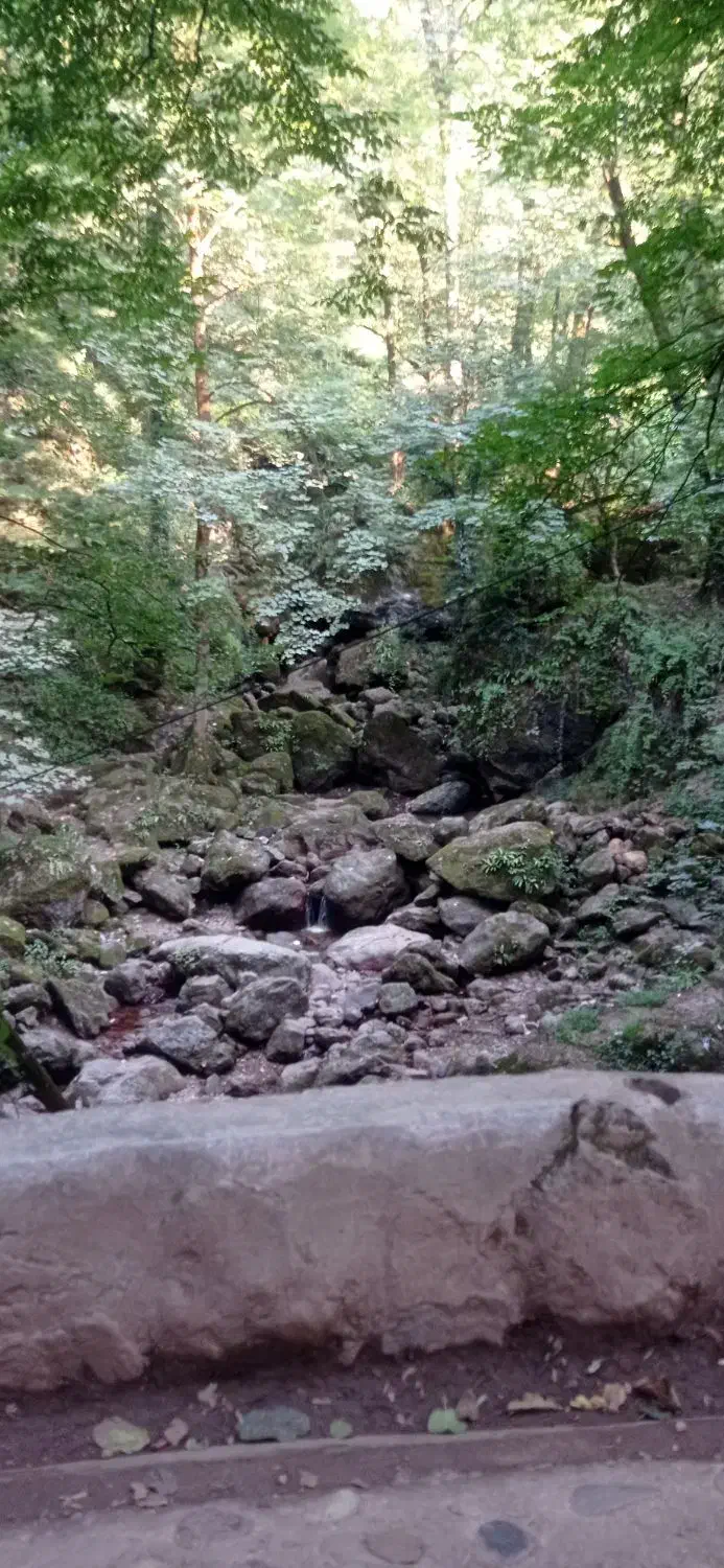 زمین زراعی|فروش زمین و ملک کلنگی|فیرورق, |دیوار