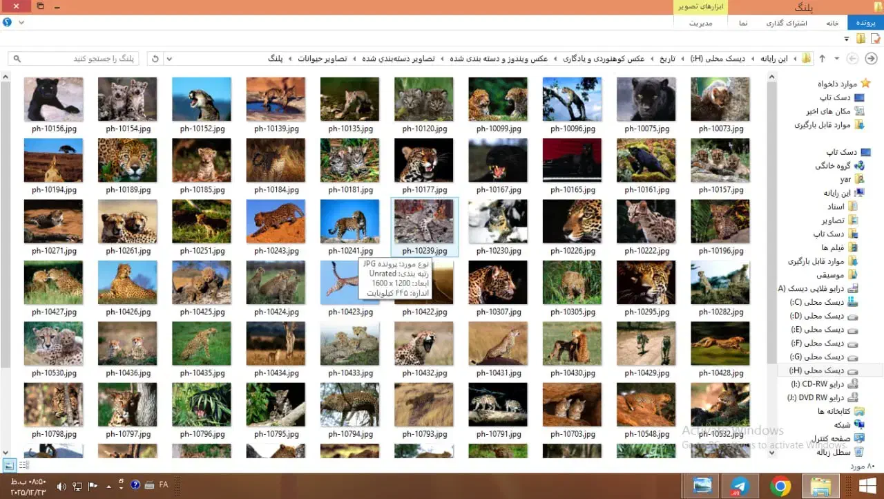 عکس های با کیفیت دیجیتالی|صوتی و تصویری|قزوین, |دیوار