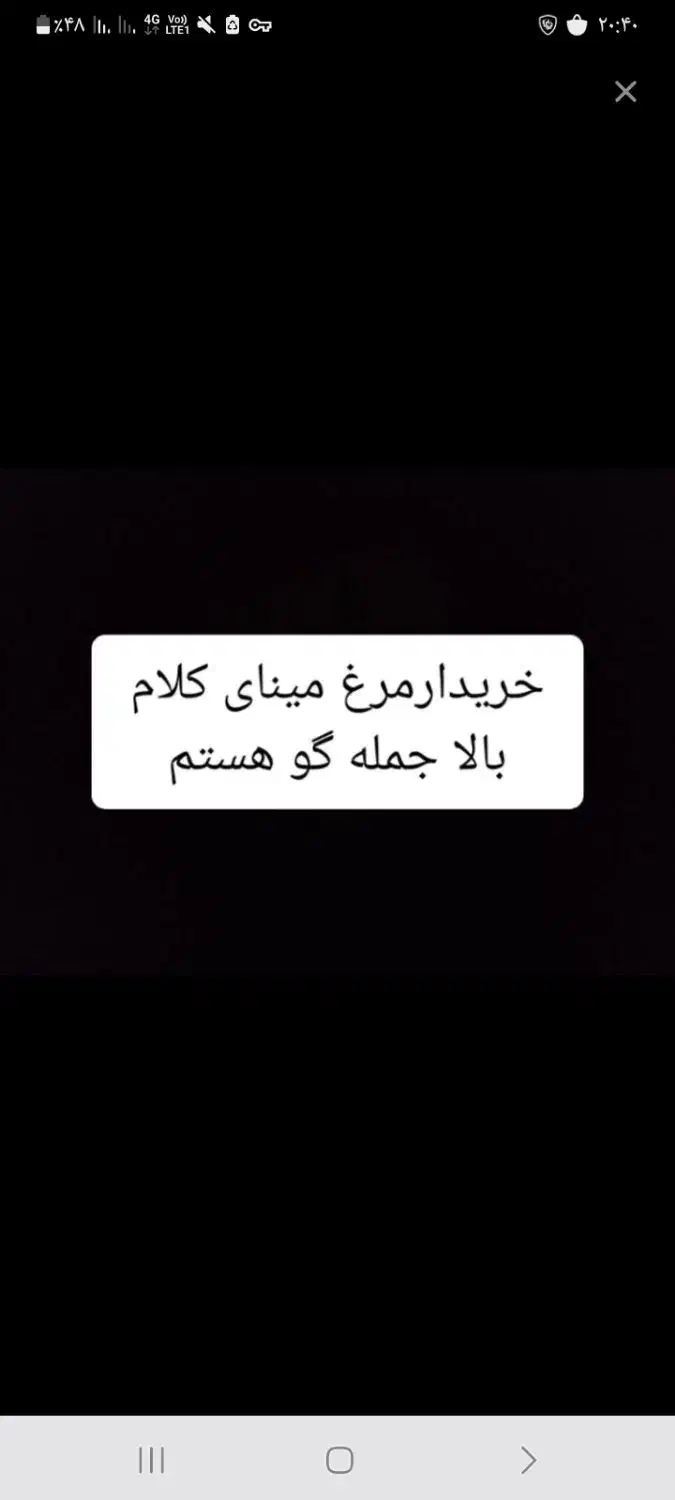 مرغ مینا سخنگو|پرنده|تبریز, |دیوار