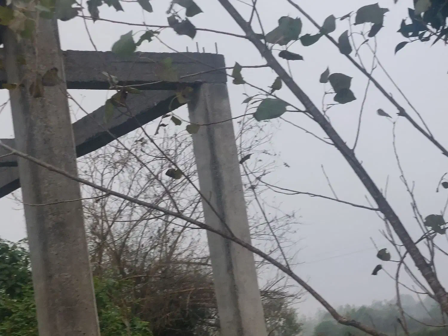 ۶۰۰‌متری‌لولمان ‌چهارده|فروش خانه و ویلا|بابل, |دیوار