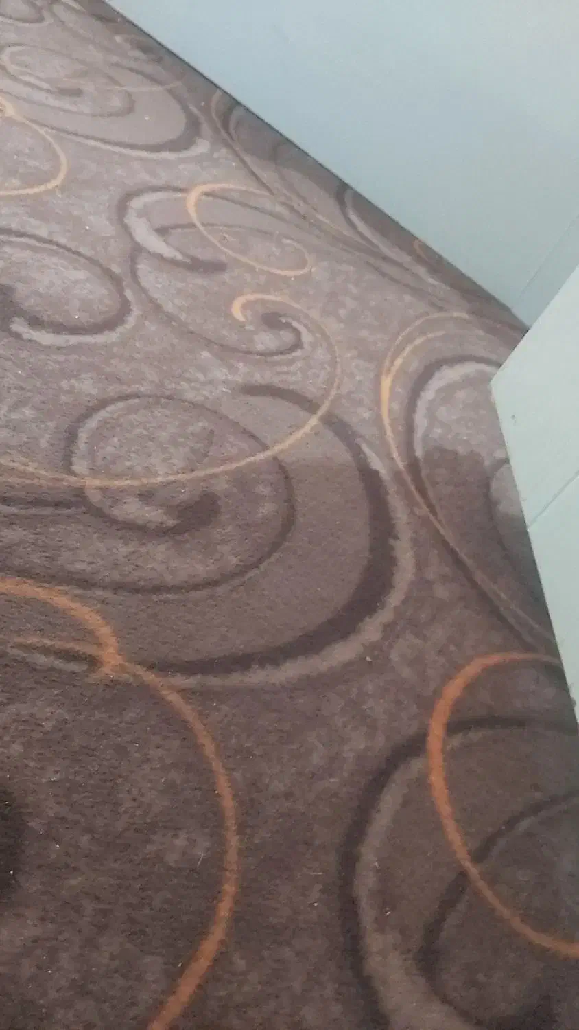 موکت|موکت|اهواز, کوی شهروند|دیوار