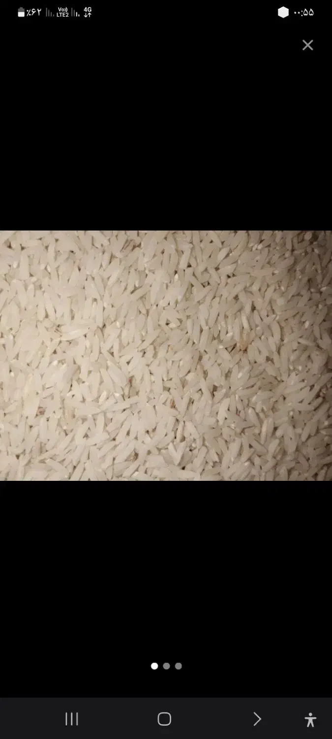 برنج طارم هاشمی اعلا..کشت خودمونه واس امسال|خوردنی و آشامیدنی|بندر گز, |دیوار